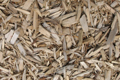 biomass boilers Towie
